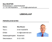 Muster-Lebenslauf-Vorlage-Finanzbuchhalter_1